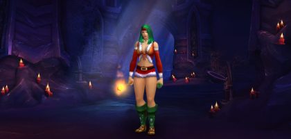 The WoW Ironman Challenge – Level 30 Status