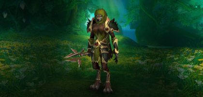 Thyrste 8th TWW Blood Banner